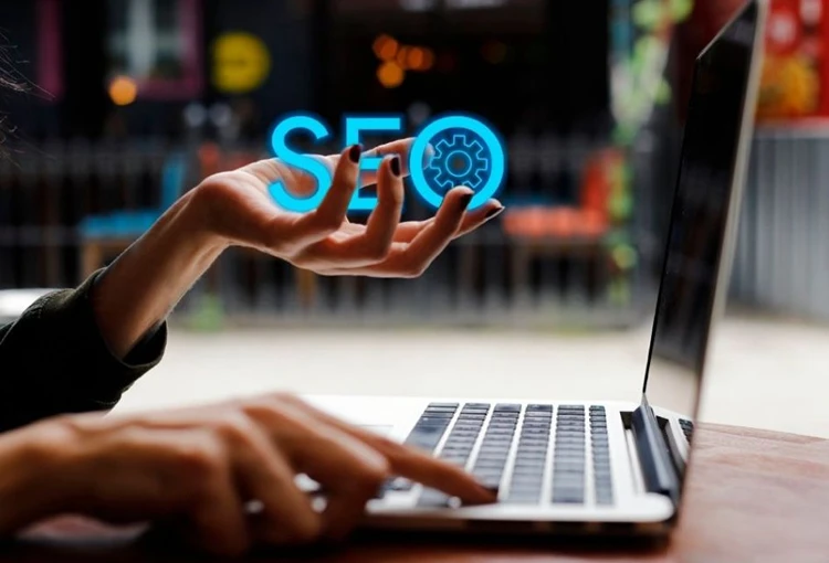 Safranbolu Web Site Tasarımcı